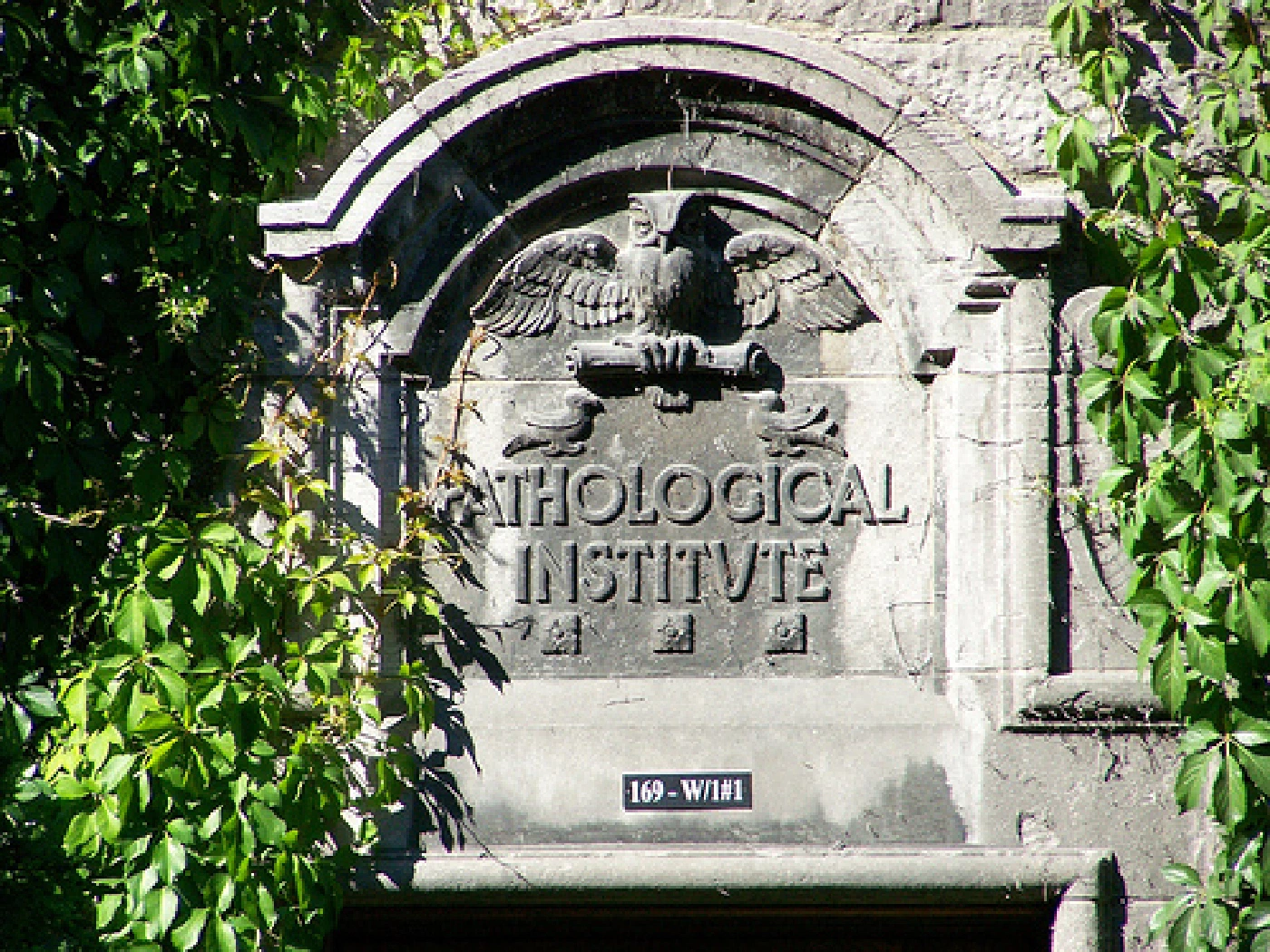 The old Duff Pathology building